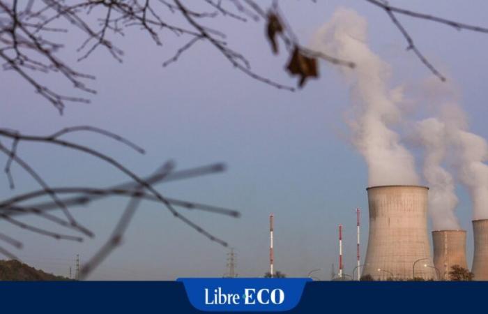 La “pepita nucleare” vuole investire in Belgio