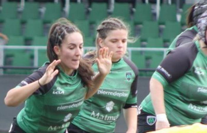 Trofeo di rugby amatoriale Tarn-et-Garonne 2024: vota il miglior giocatore del dipartimento