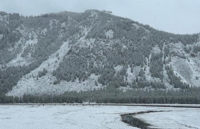 Allerta meteo invernale negli Stati Uniti, dove nel fine settimana potrebbe verificarsi neve