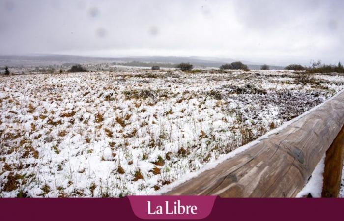 Meteo in Belgio: ecco dove e quando è prevista la prima nevicata questa settimana