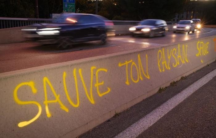 Rotonde, strade, prefetture, smantellamento della segnaletica… che mobilitazione in Lorena questo lunedì 18 novembre