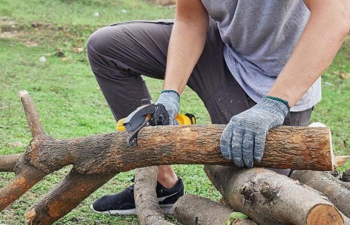 Provatela: questa mini motosega ha da pochi giorni un prezzo pazzesco su Amazon