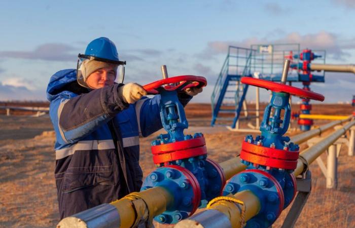 L'Austria privata del gas da parte di Gazprom