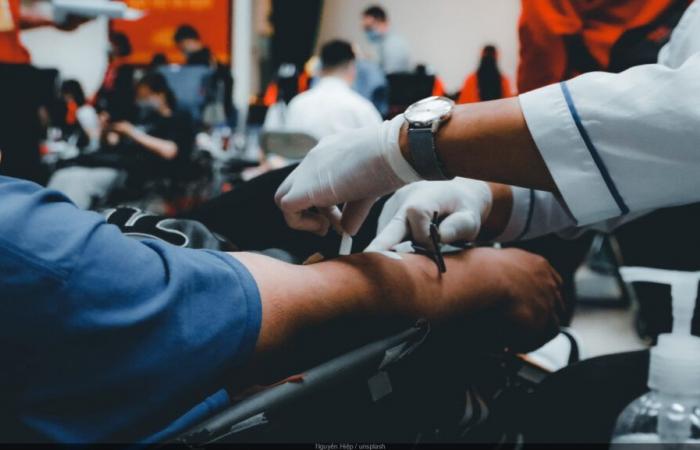 Donazione del sangue: partecipa ad una gigantesca raccolta per battere il record europeo in Municipio