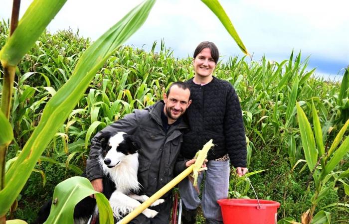 Un mercato agricolo composto dai candidati di “L’Amour est dans le pré” fa tappa nel Limosino