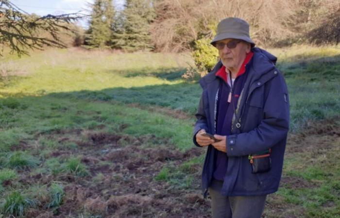 Angoulême: i cinghiali causano danni in città