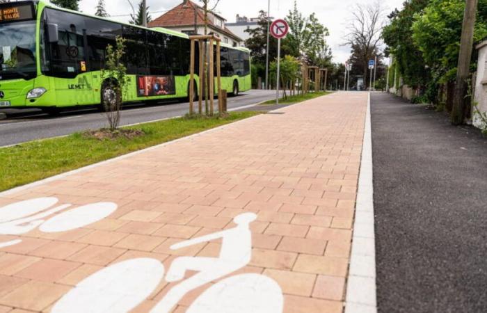 Mosella. Sapete quanto costa una pista ciclabile a Metz?