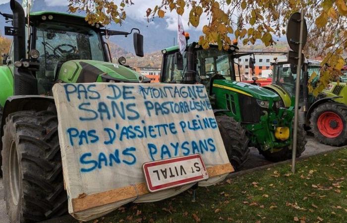 Crisi agricola: teloni e un primo raduno di agricoltori in Savoia e Alta Savoia questo lunedì