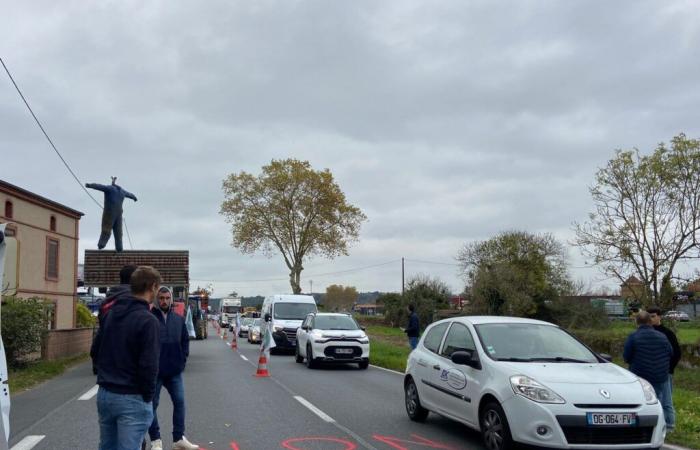 LIVE – Segui la mobilitazione dei contadini di Albi