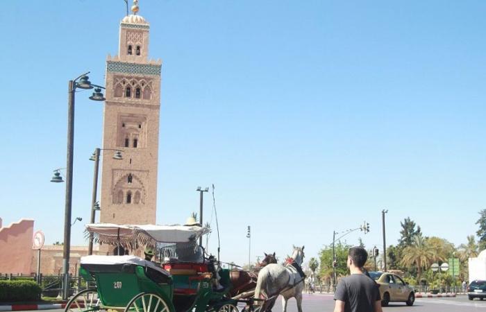 Molto attesi, i nuovi documenti di pianificazione urbana per Marrakech sono attualmente in fase di sviluppo o finalizzazione