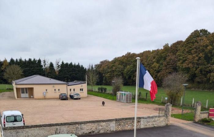 Un cinghiale cade davanti al municipio di un villaggio del Calvados