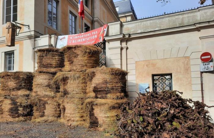 i contadini manifestano e bloccano l'ingresso alla prefettura