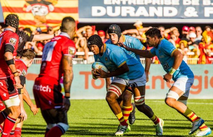 Top 14: Marvin Orie operato, torna per il Tolosa, Bruce Devaux vicino alla guarigione… Le ultime notizie dall'infermeria dell'USAP