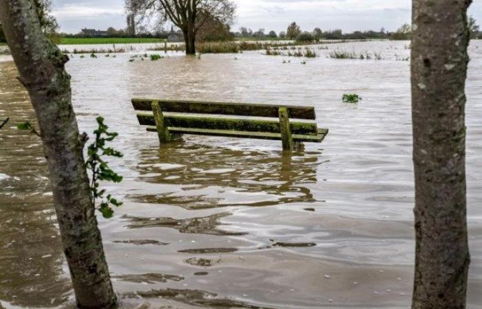 Tanta pioggia stasera e stanotte, attivato il numero di emergenza 1722 per rischio temporale e allagamenti