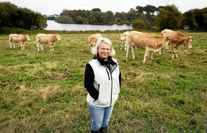 Il Parco Naturale Regionale del Golfo del Morbihan, cosa cambia per i residenti?