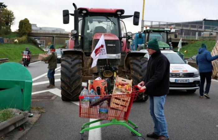 LIVE – La rabbia degli agricoltori: “85 punti dimostrativi” in tutta la Francia, secondo la FNSEA