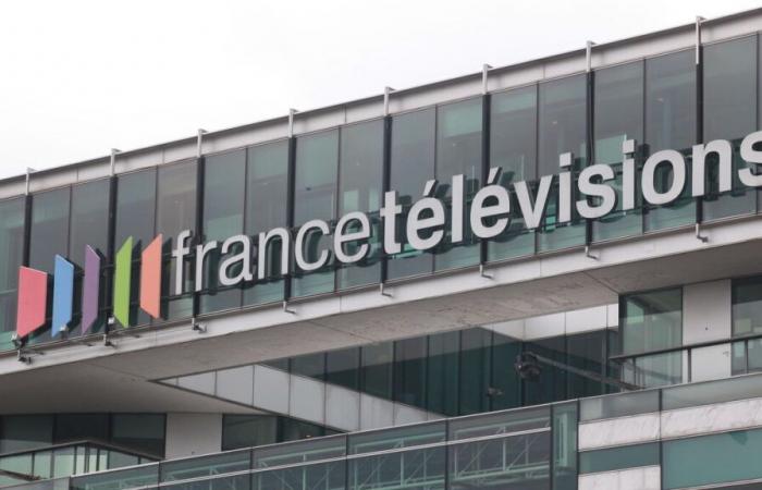 France Télévisions vuole limitare l'uso degli animali sui set cinematografici