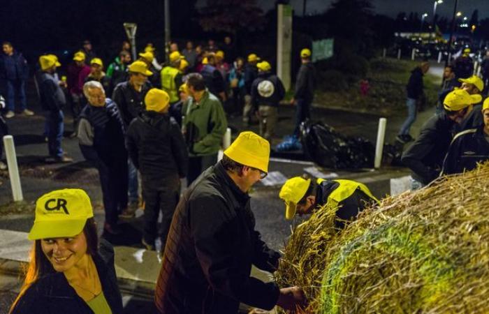 Il Coordinamento rurale consegna i berretti gialli alle amministrazioni target