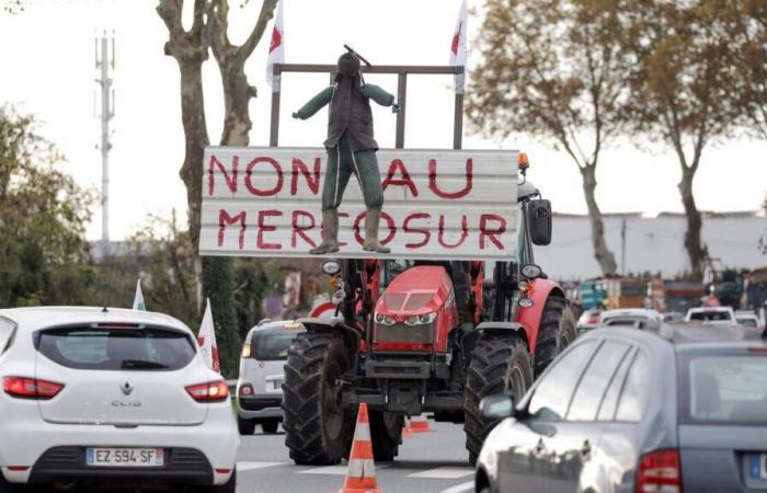 L’accordo dell’UE con il Mercosur provoca la rabbia degli agricoltori francesi e il rifiuto di un ministro italiano