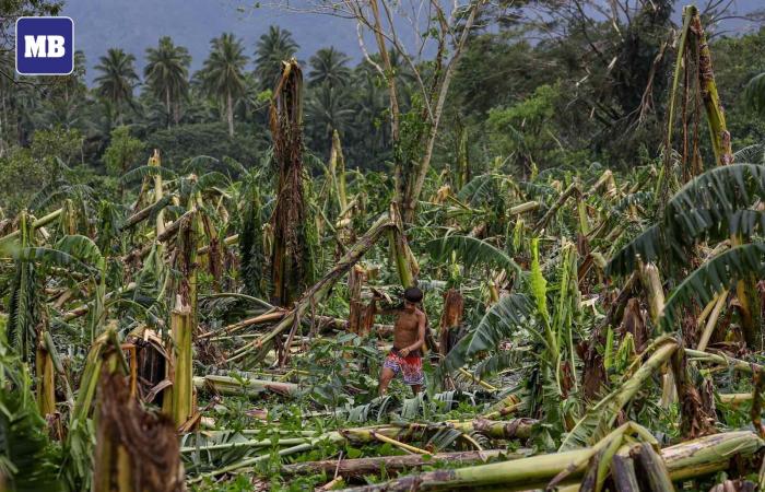 Offensiva invernale in Europa, inondazioni in Honduras, tifoni successivi nelle Filippine,… notizie meteo da tutto il mondo 18/11/2024