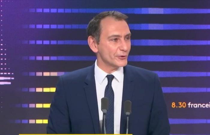 Emmanuel Macron “non ha il potere di fermare” l'accordo tra Ue e Mercosur, secondo Laurent Jacobelli, portavoce della RN