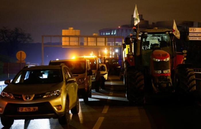 LIVE – La rabbia degli agricoltori: “al via 85 punti dimostrativi”, secondo il presidente dei Giovani Agricoltori