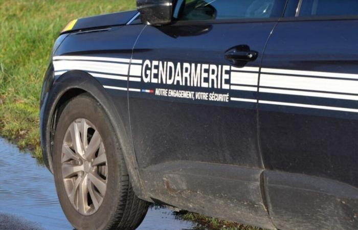 Furto di attrezzi dai furgoni degli artigiani nel Calvados: arrestata una squadra