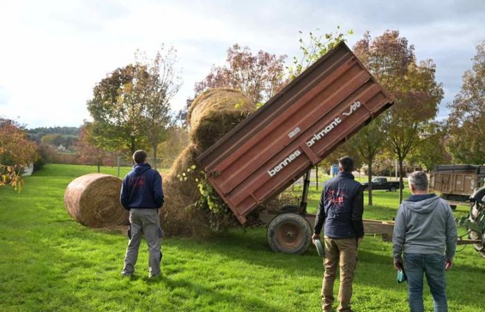 La rabbia degli agricoltori: “Utilizzeremo i mezzi necessari, peccato per le conseguenze”, decine di trattori hanno raggiunto la prefettura del Gers