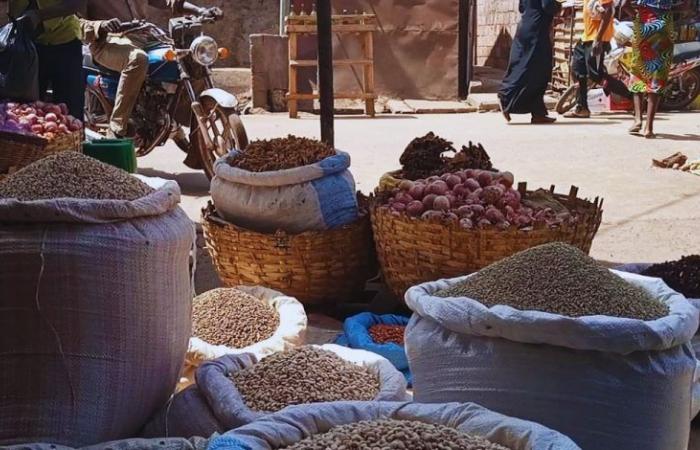 Una soluzione per stabilizzare i prezzi dei prodotti alimentari in Africa