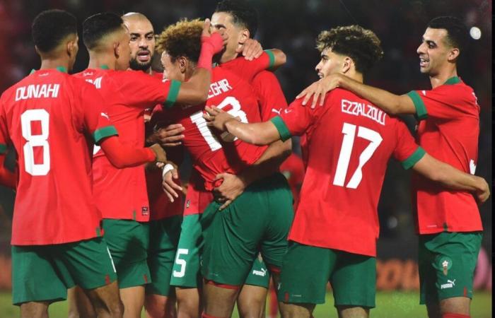 Scheda tecnica della partita Marocco-Lesotho (7-0)