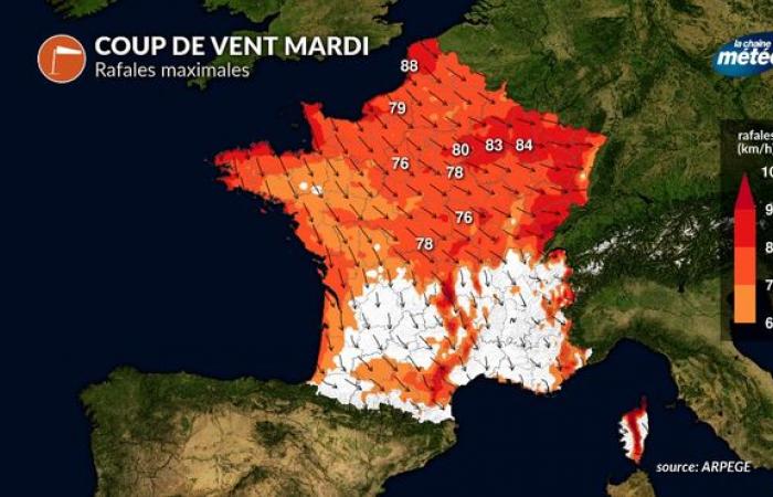 Il meteo della settimana: dettagli quotidiani del trambusto