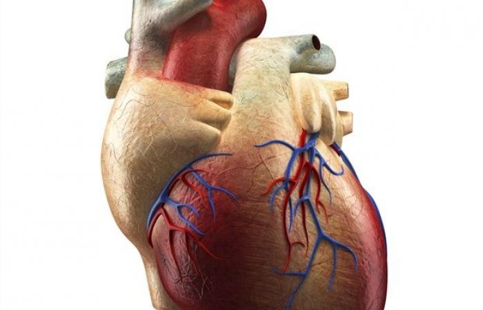 Il dispositivo Aeson di CARMAT sta guadagnando slancio in Europa come soluzione di transizione al trapianto