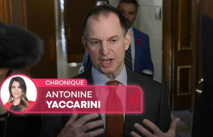 Antonino Yaccarini | Aggiornamento economico: la parola A