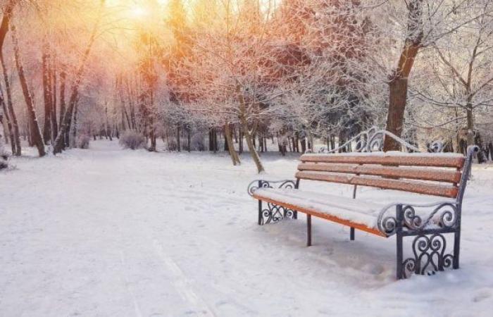 nevicherà in Francia in questi 7 dipartimenti a partire da giovedì, secondo Météo France