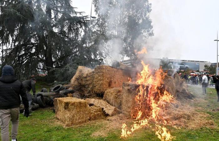 La rabbia degli agricoltori: l'elenco delle rotatorie occupate dai manifestanti nell'Alta Garonna questo lunedì sera