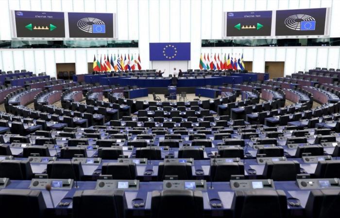 un accademico invitato al Parlamento europeo suscita l'indignazione di alcuni eurodeputati