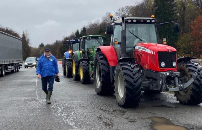 DIRETTO. Segui le proteste arrabbiate degli agricoltori