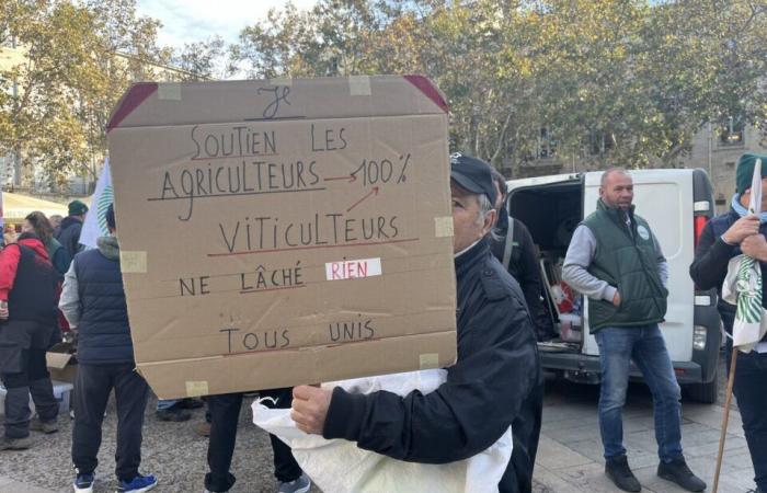 Gli agricoltori dell’Hérault vogliono qualcosa di più che semplici aiuti