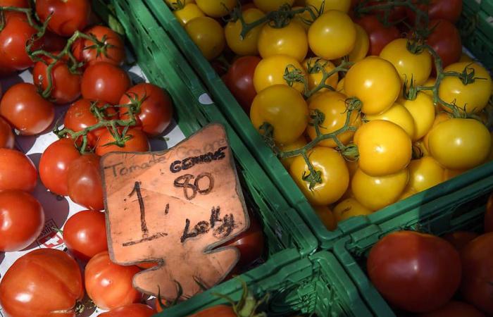 La Città di Ginevra privilegia l’agricoltura locale