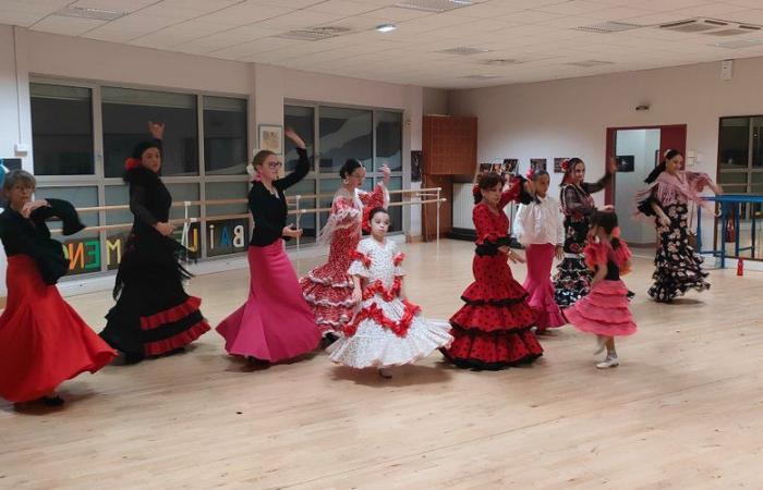 Il passaggio. “Baile Flamenco” celebra la Giornata Internazionale del Flamenco