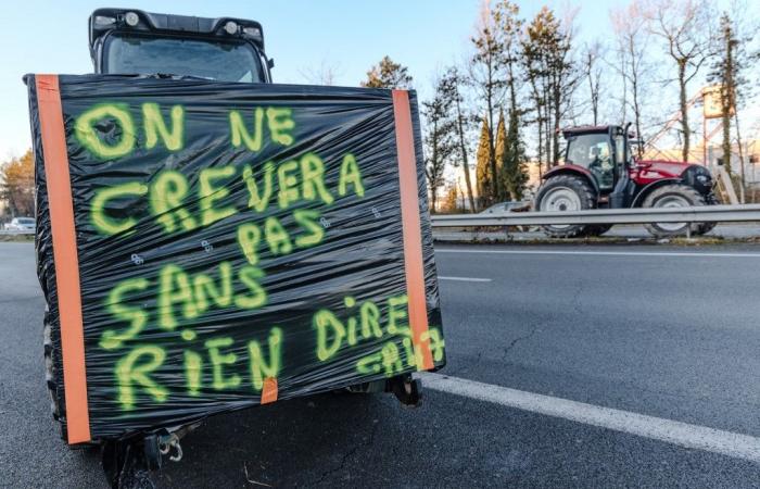 agricoltori, la stessa rabbia… un’esplosione di rivendicazioni