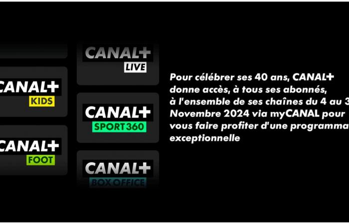 Tutti i programmi e le novità di novembre 2024