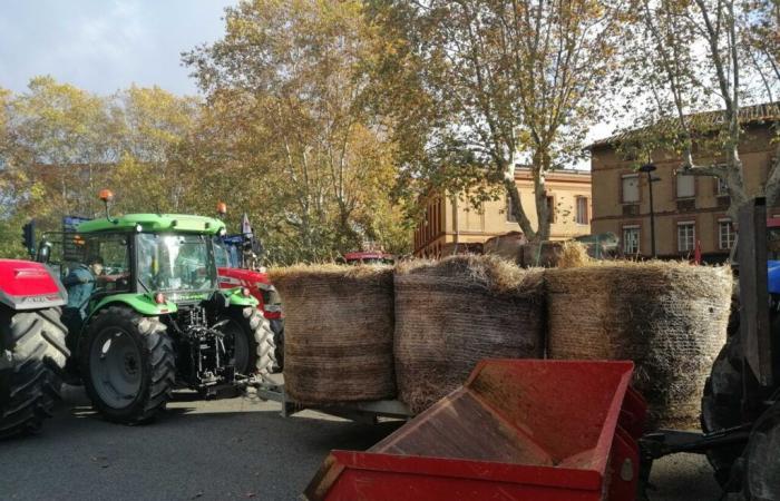 dove si riuniranno gli agricoltori dell'Alta Garonna