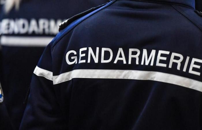 un giovane di 17 anni ucciso a colpi di arma da fuoco in Alta Savoia