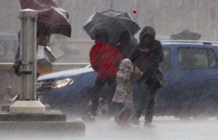 Prima dell'arrivo della neve, Météo France mette in allerta Orne in caso di venti violenti