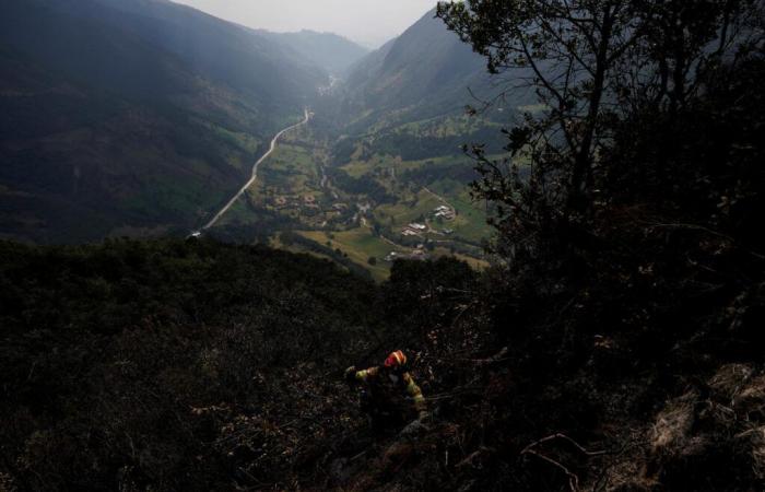 L’Ecuador dichiara l’emergenza nazionale per combattere gli incendi e la siccità nel sud del Paese