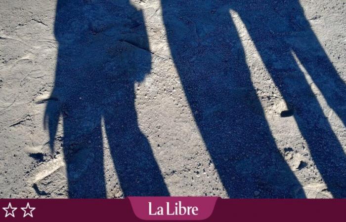 “Sorelle e altre specie viventi” di Elisabeth Barillé: Cosa è fuggita Lucie dal suo destino di adulta?