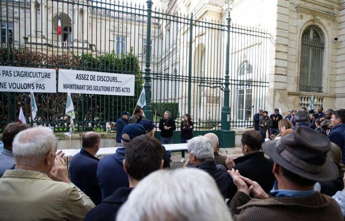 OCCITANIE Primo comitato territoriale per gli aiuti regionali all'agricoltura