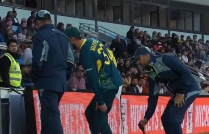 Infortunio al tendine del ginocchio di Glenn Maxwell, video, foto, Australia vs Pakistan, terza nazionale T20