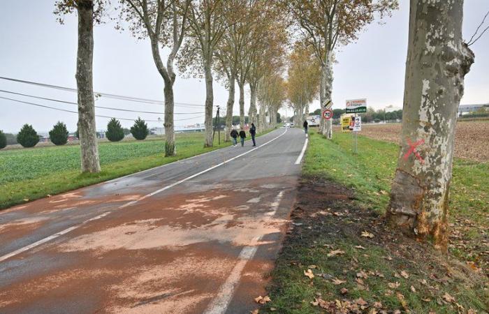 “Aveva appena festeggiato il suo compleanno”: chi erano le cinque vittime della tragedia stradale di Gaillac?